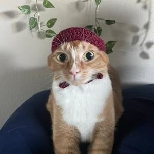 Ivan