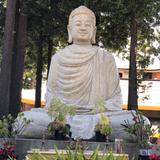 Sahil