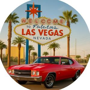 702 Car Rentals