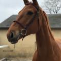 Hubert