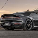 Arden Exotics