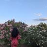 Fatima