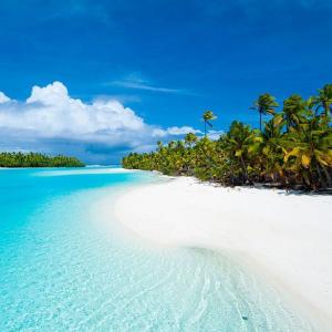 Tropical Island
