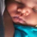jamil