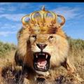 Shanta