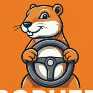 Gopher LLC