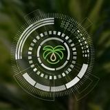 Palm Class by Anderson