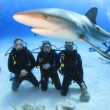 UNIVERSAL ADVENTURE TRAVEL INC