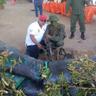 Larry