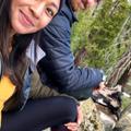 Kristal