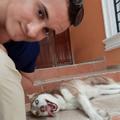 Luis T