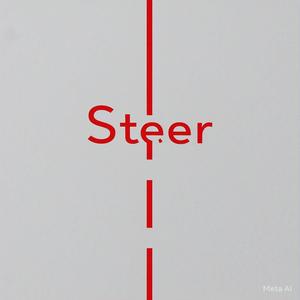 Steer