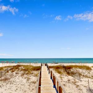 Coastal Rides
