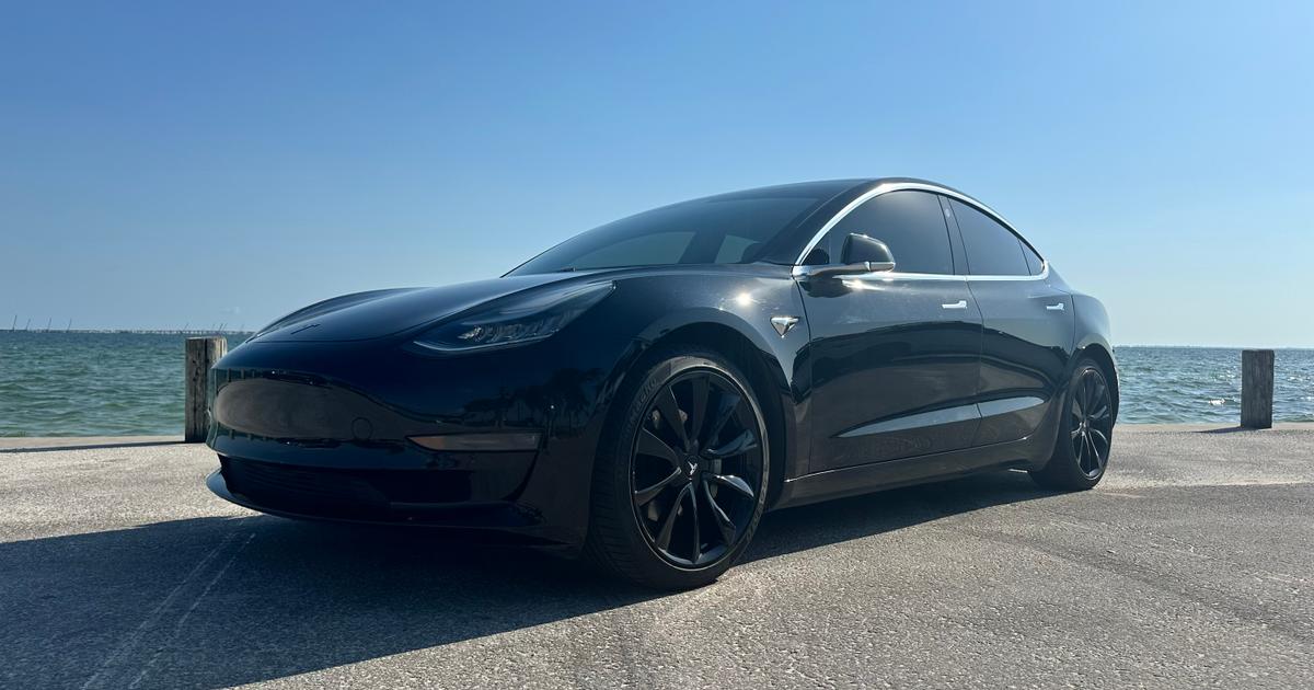 2019 Tesla Model 3 in Tampa