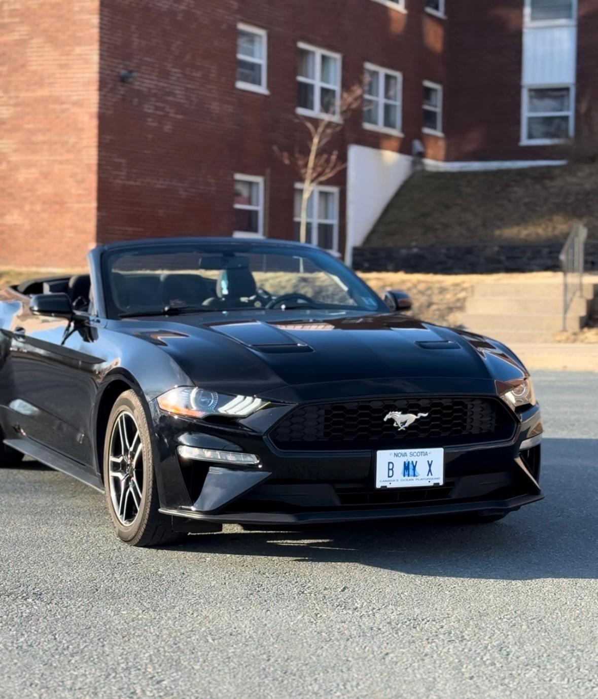 Ford Mustang 2018 à Dartmouth, NS