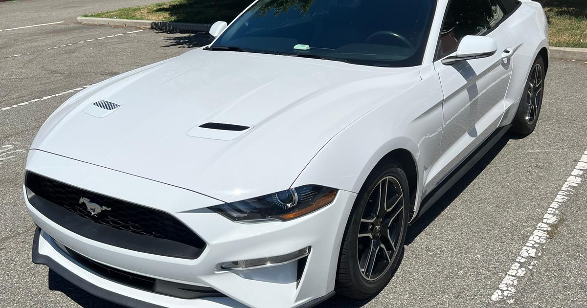 Ford Mustang 2020 rental in Kearny, NJ by Rodrigo P. Turo