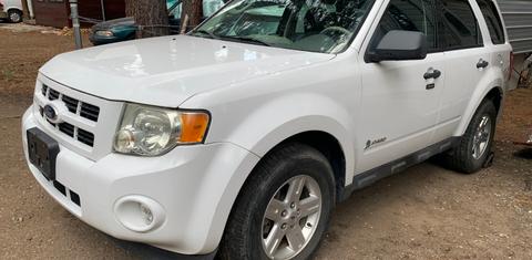 Ford Escape 2011