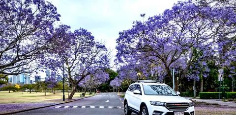 HAVAL H6 2020