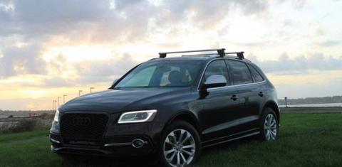 Audi SQ5 2014