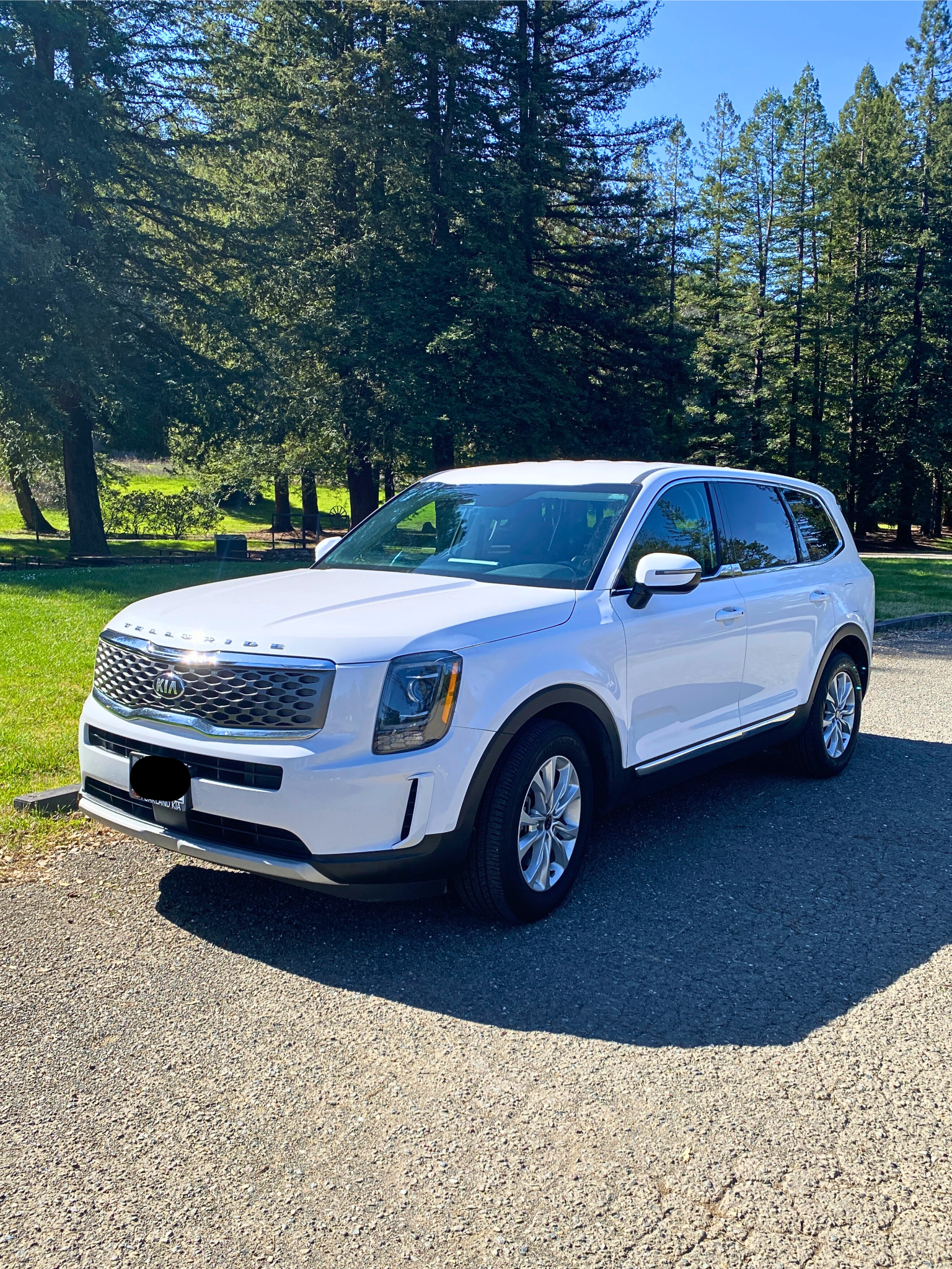Kia Telluride 2021 in Healdsburg, CA