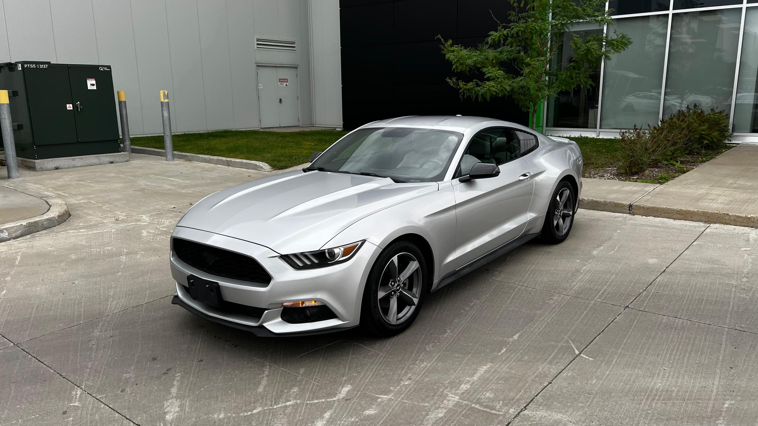 Ford Mustang 2015 in Montréal, QC