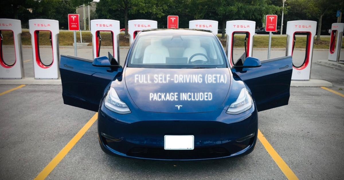 2021 Tesla Model Y in Pickering