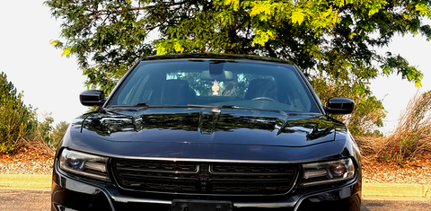 Dodge Charger 2016