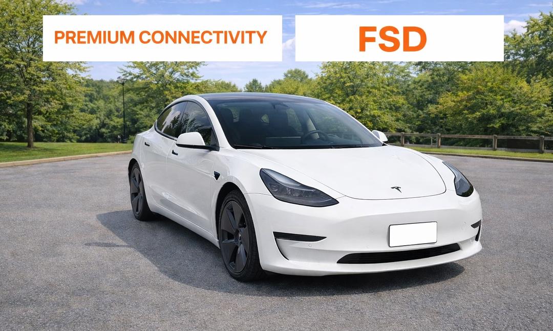 2022 Tesla Model 3 in Pickering