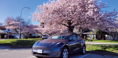 Tesla Model Y 2023