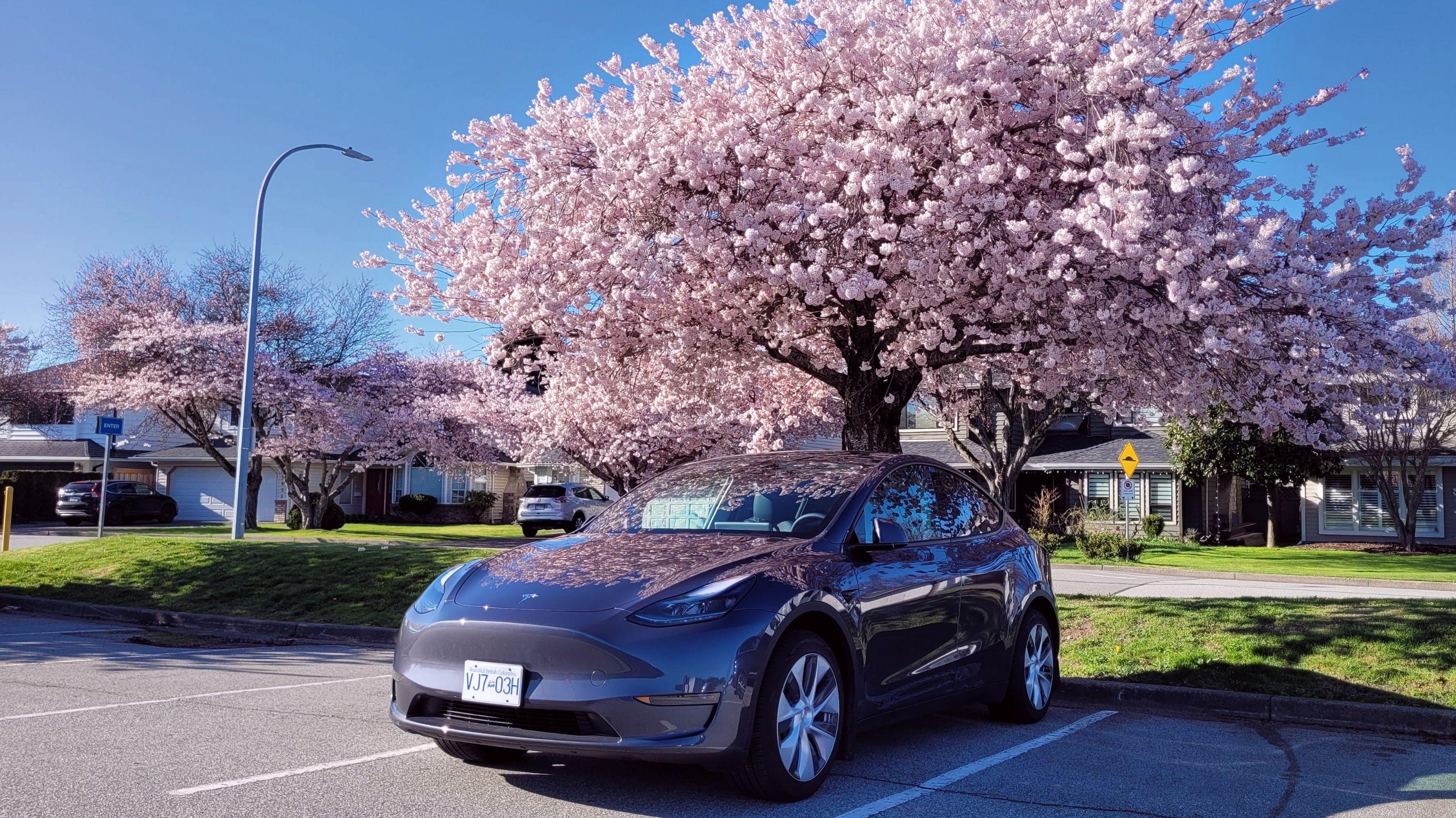Tesla Model Y 2023 à 