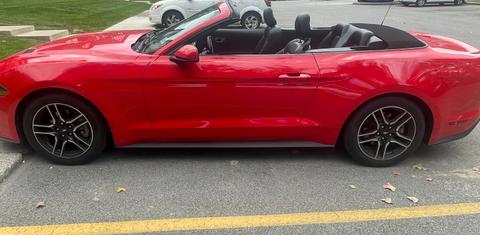 Ford Mustang 2019