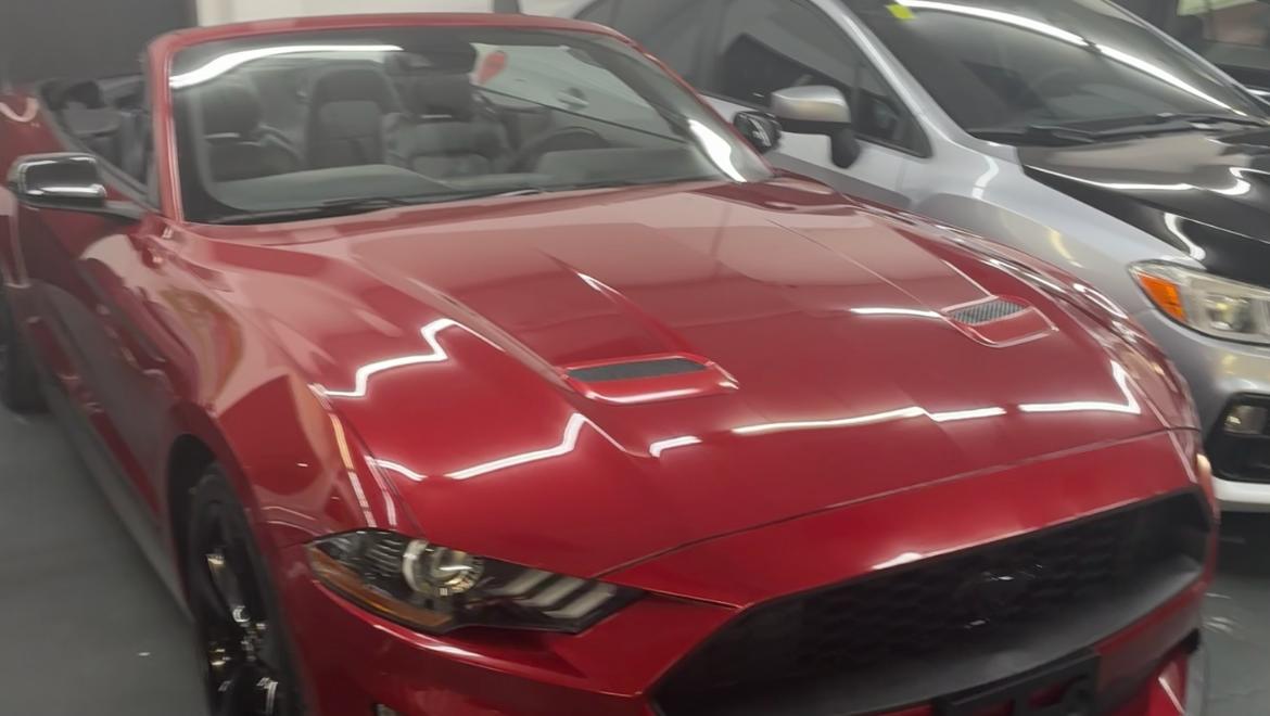 Ford Mustang 2021 in Lafayette, LA
