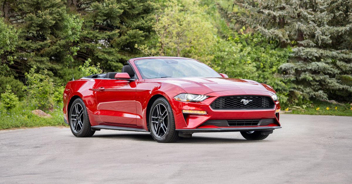 ★2023FW新作★BITTER CELLS★Cabin Mustang New Ford Mustang California Special 2023 | Visual Review