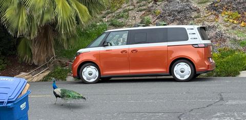 Volkswagen ID. Buzz 2025