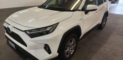 Toyota RAV4 2024