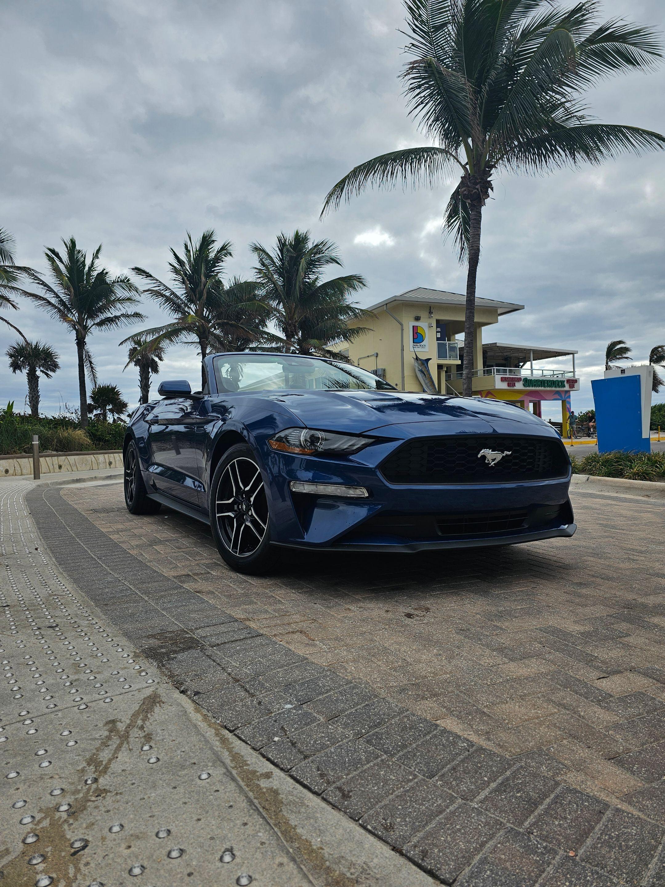 Ford Mustang 2023 in Dania Beach, FL