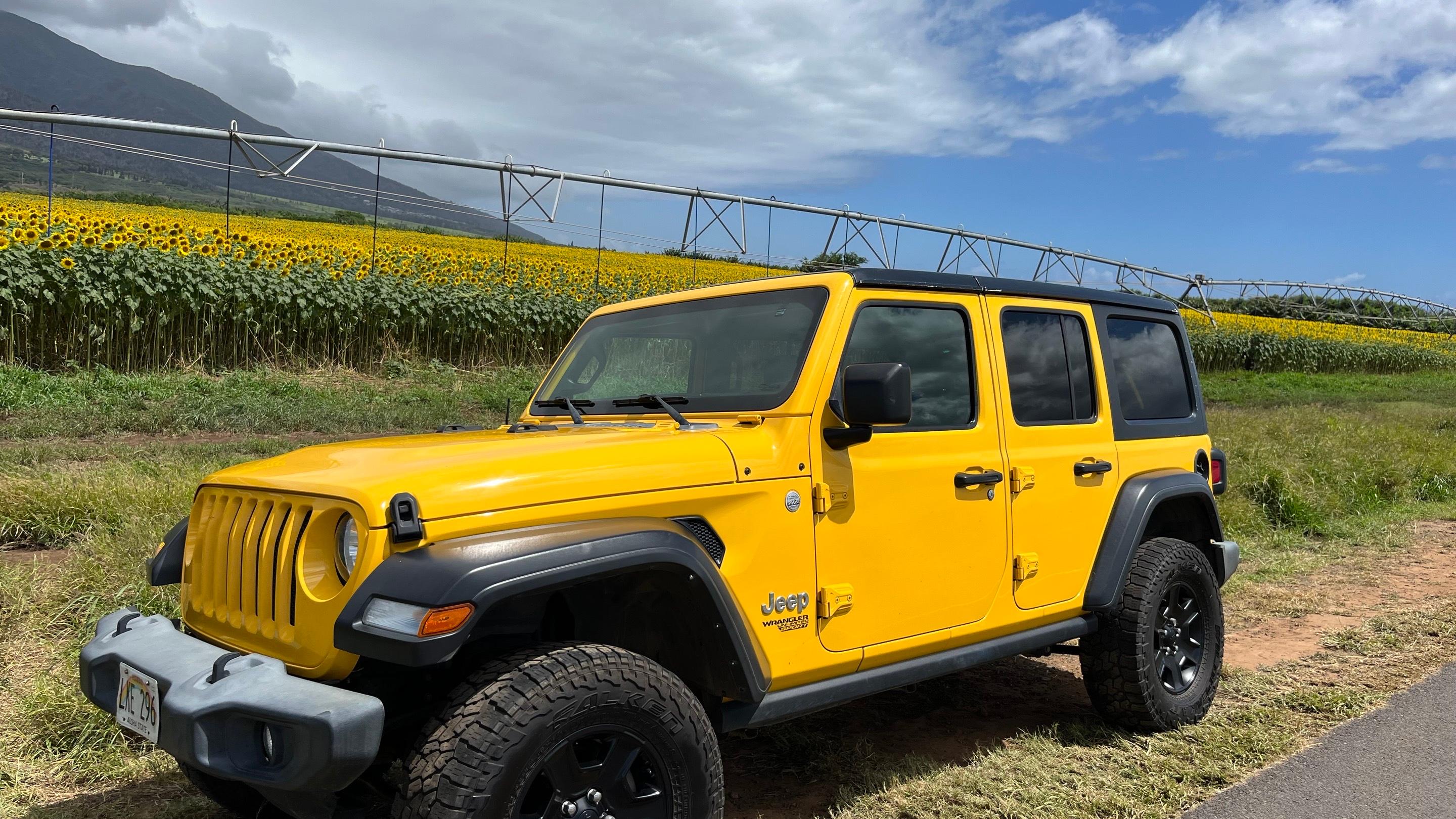 Jeep Wrangler Unlimited 2019 in Lahaina, HI