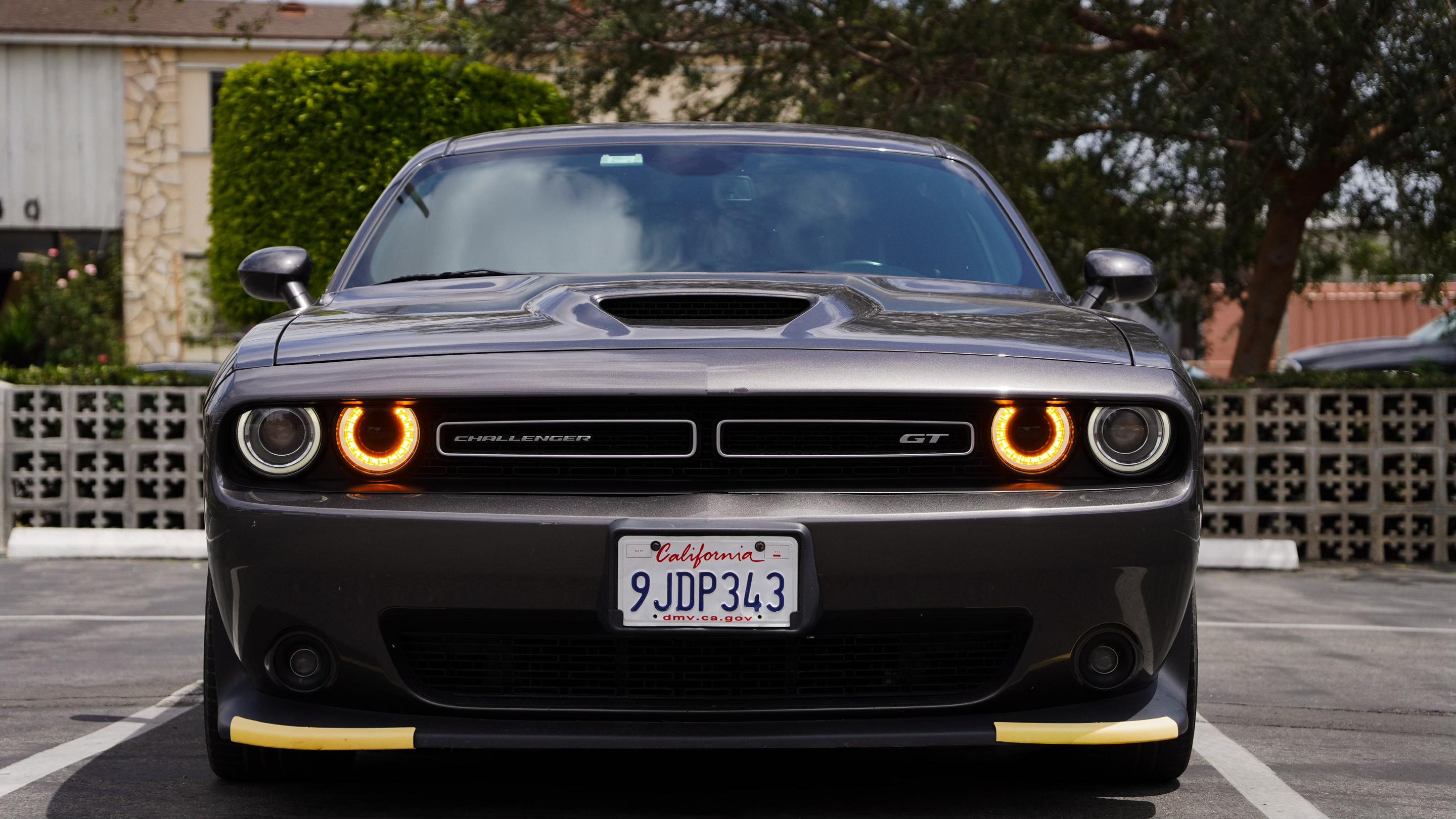 Dodge Challenger 2022 in 