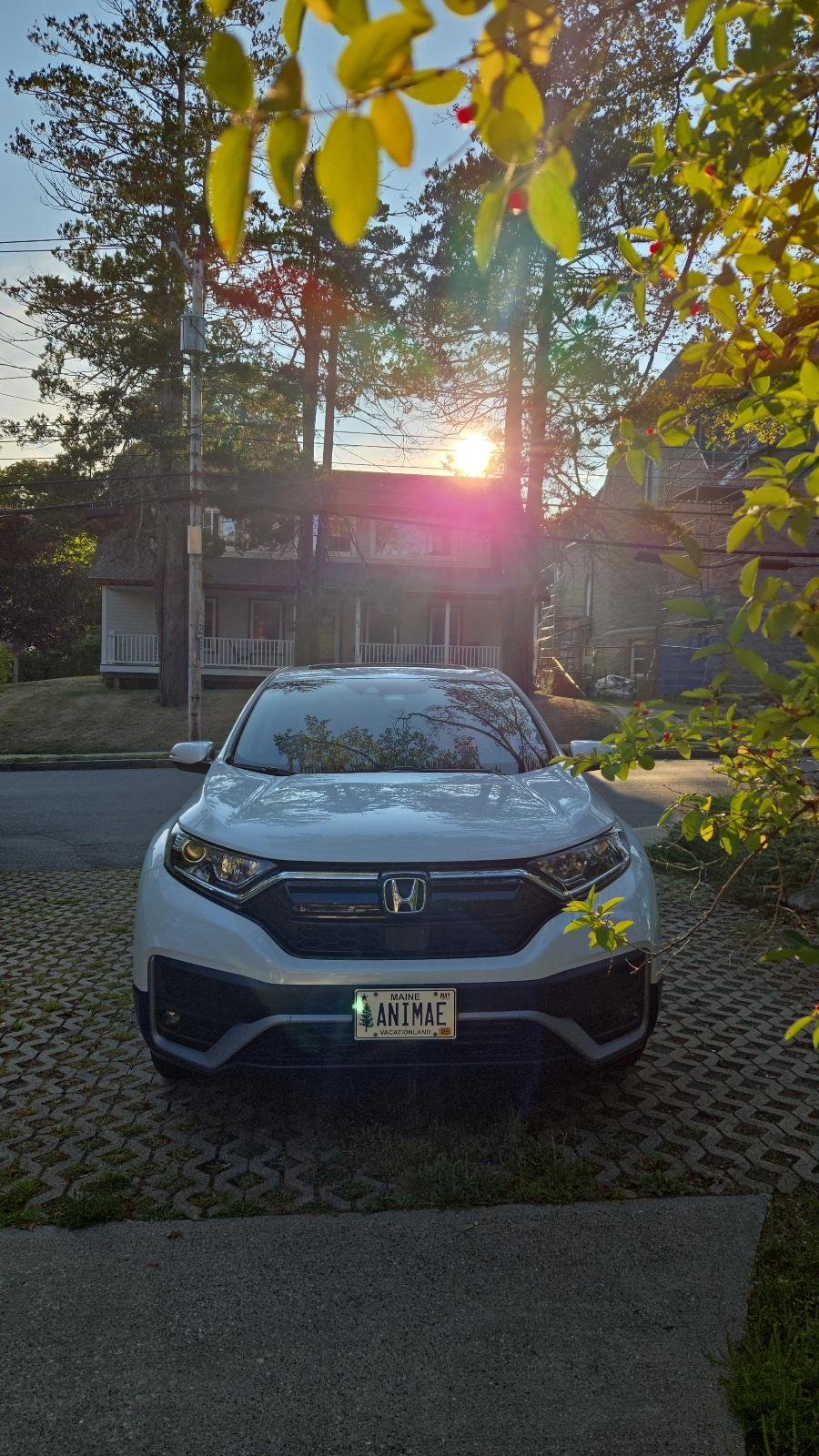 Honda CR-V 2020 in 