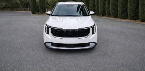 Kia Carnival Hybrid 2026 rental in San Francisco, CA by Folorunso
