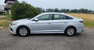 Hyundai Sonata Hybrid 2019 — Car rental alternative in Belgrade, MT