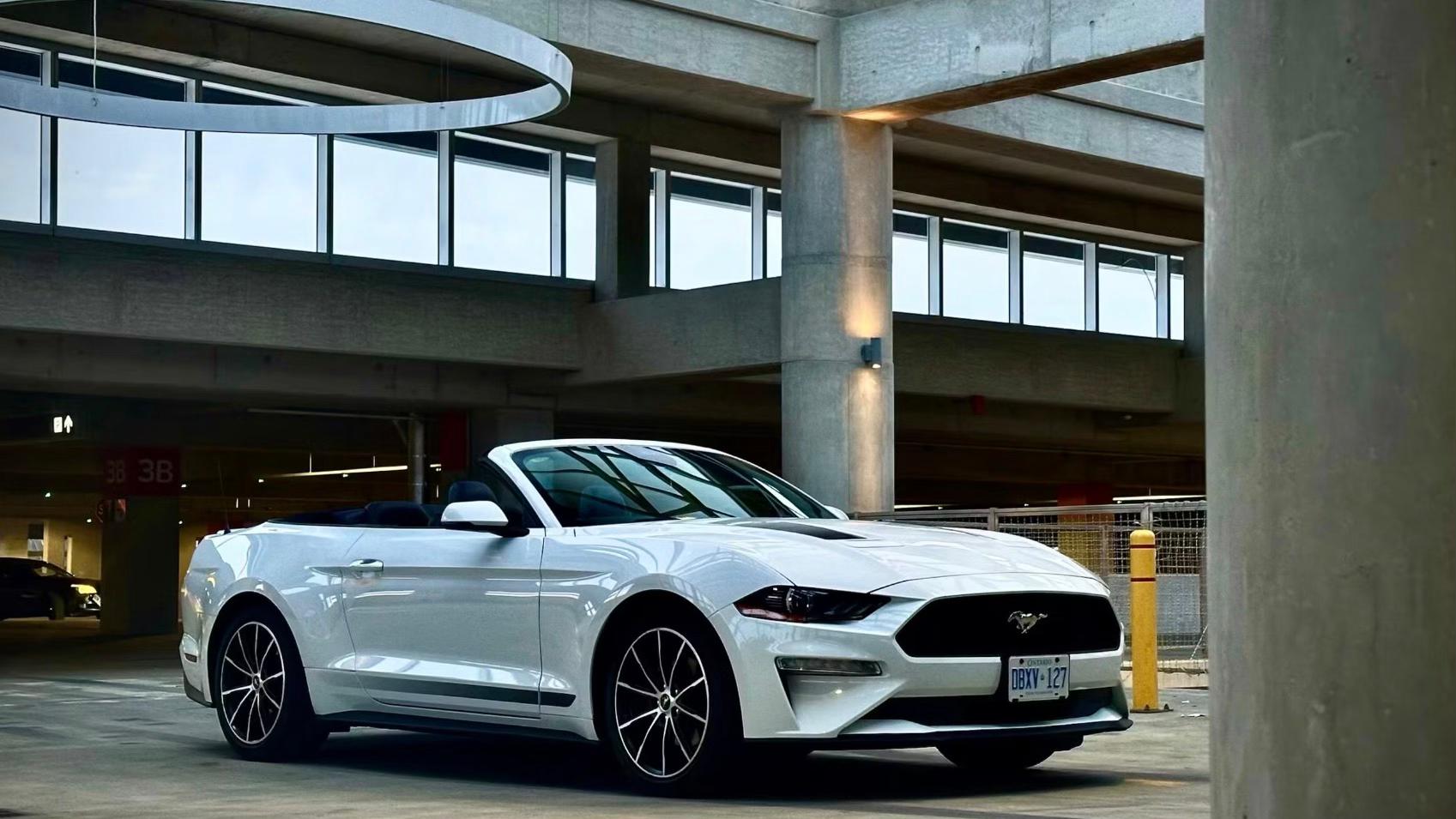 Ford Mustang 2022 à Toronto, ON
