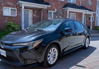 Toyota Corolla car
