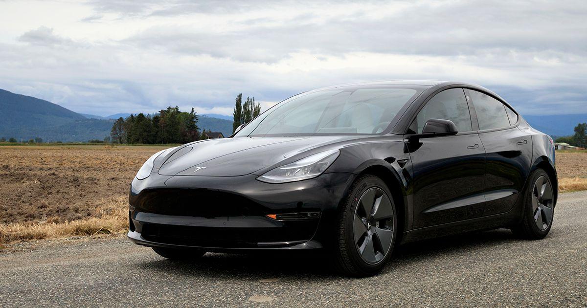 Tesla Model 3 2019 à Oakville, ON