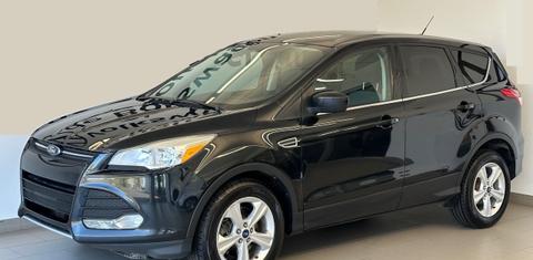 Ford Escape 2014