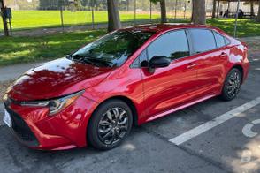 Toyota Corolla car
