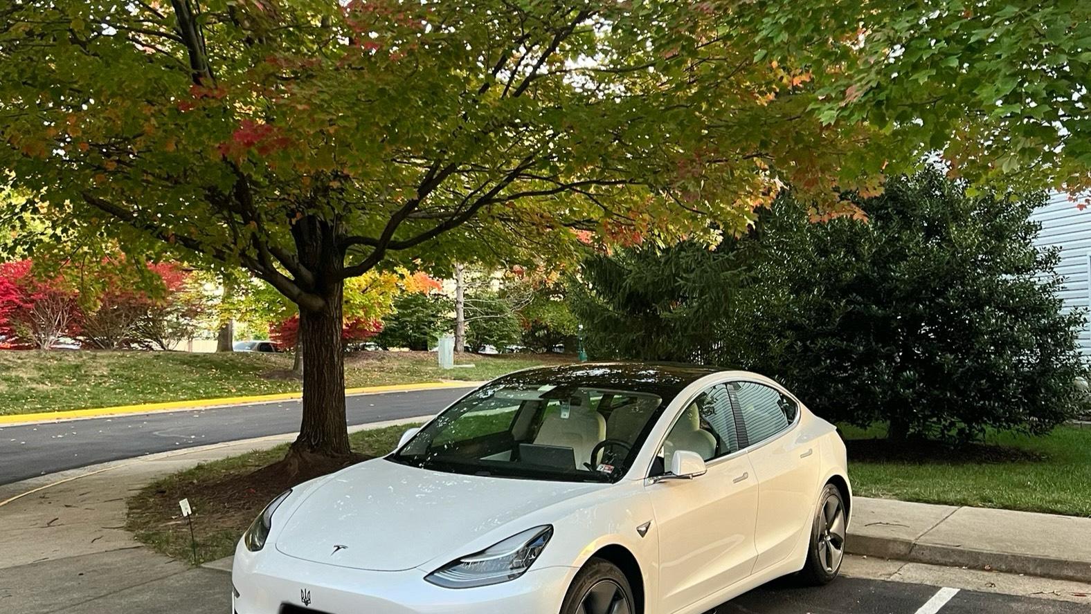 Tesla Model 3 2020 in Reston, VA
