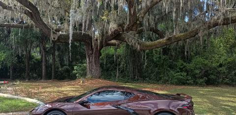 Chevrolet Corvette 2023