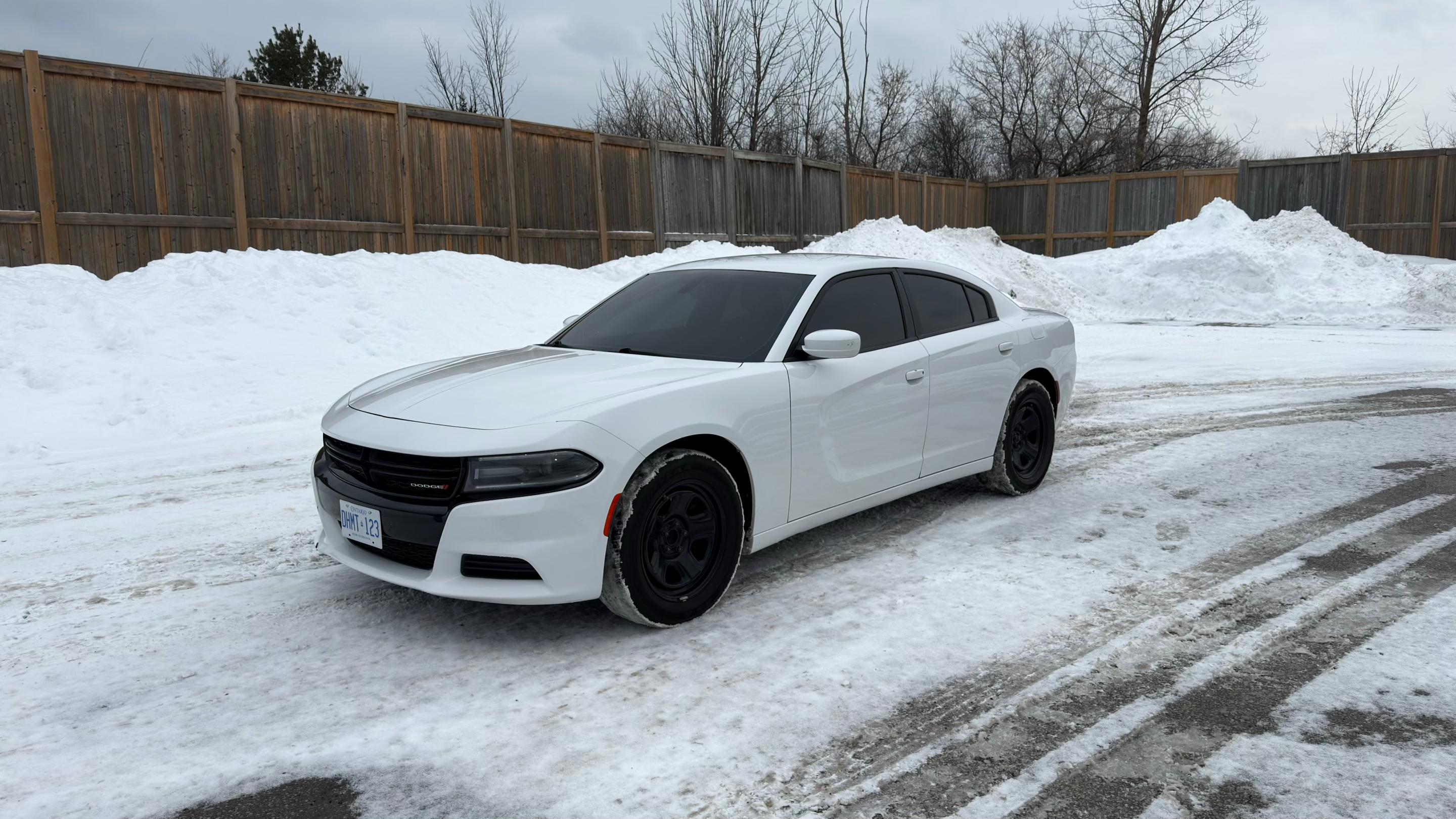 Dodge Charger 2019 in Mississauga, ON
