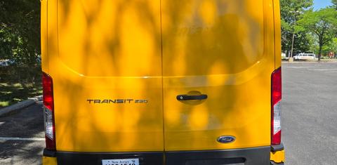 Ford Transit Cargo 2021
